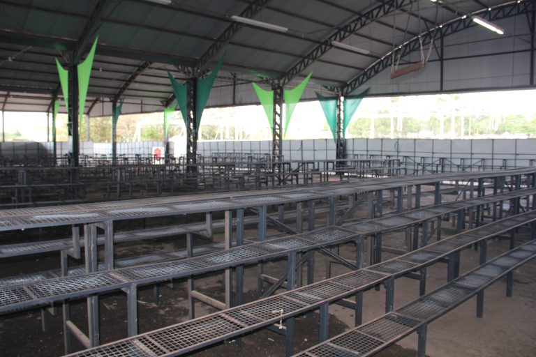 Espaço tradicional da ExpoVerde traz variedade de plantas e flores