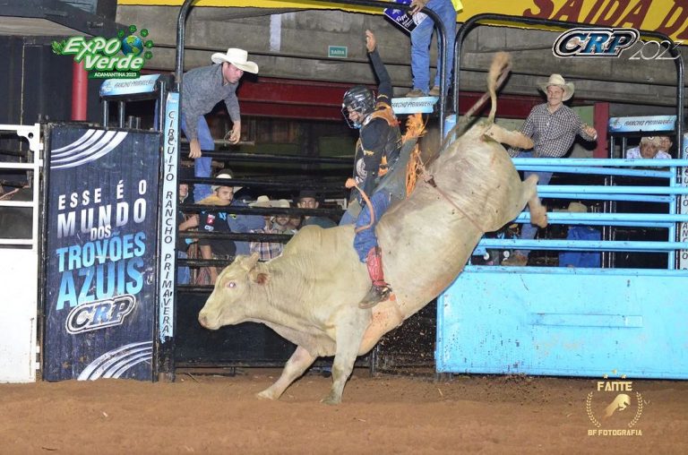 Rodeio segue nesta sexta; finais ocorrem no sábado
