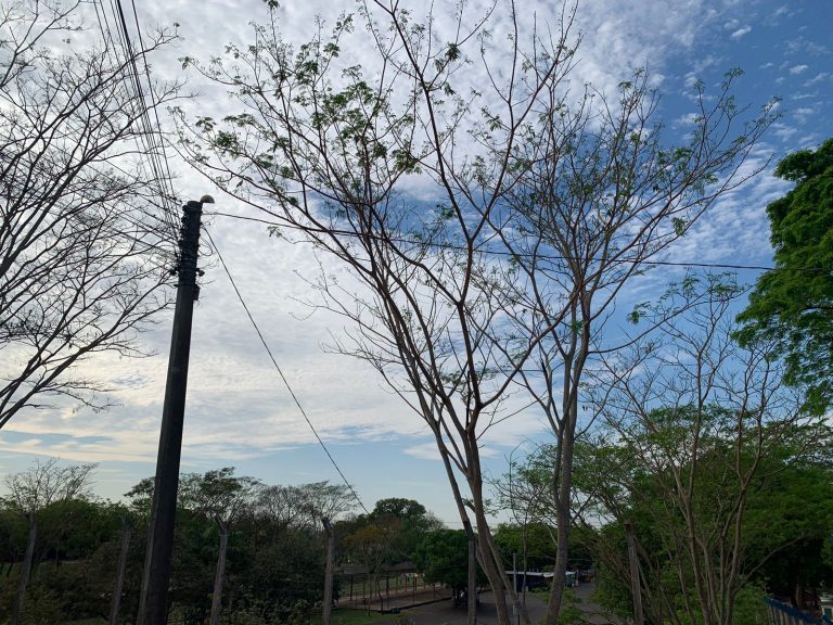 Temperaturas devem ultrapassar os 40°C a partir desta quarta em Adamantina