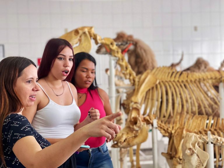 Mostra de Profissões 2023 recepciona 3 mil estudantes em quatro dias de evento extensionista