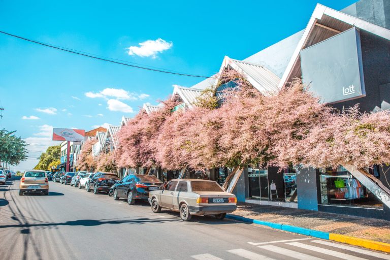 Adamantina sedia debate estadual sobre comércio varejista