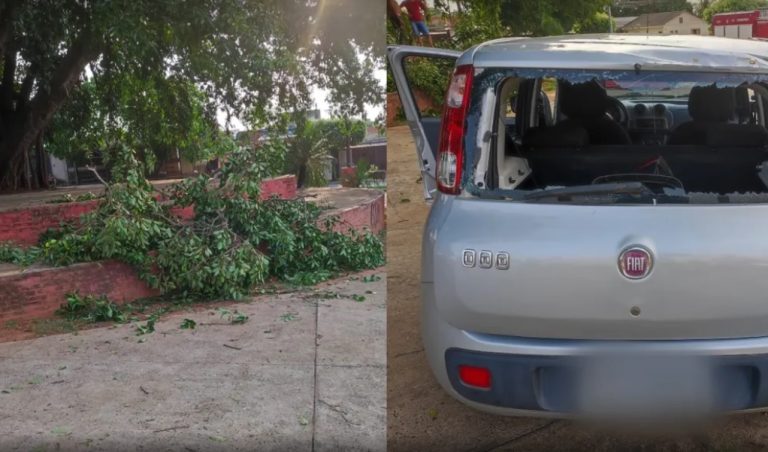 Mulher morre após ser atingida por galho durante ventania em Tupã