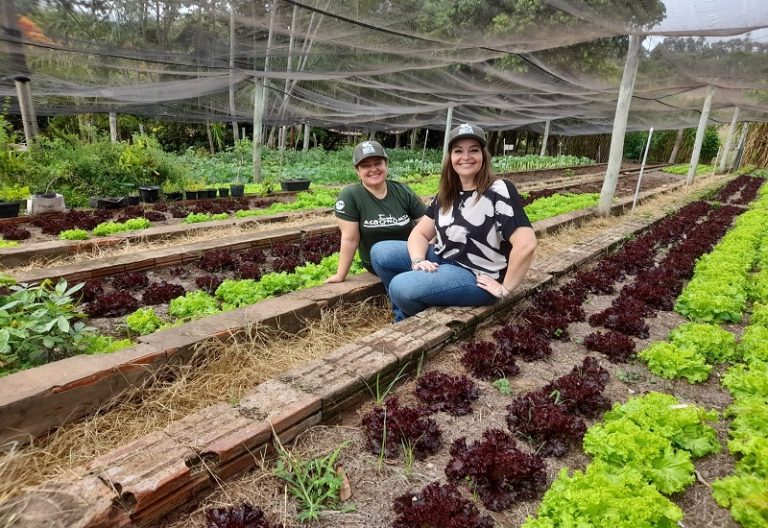 Horta Solidária do Centro Universitário promove o cultivo e doação de legumes