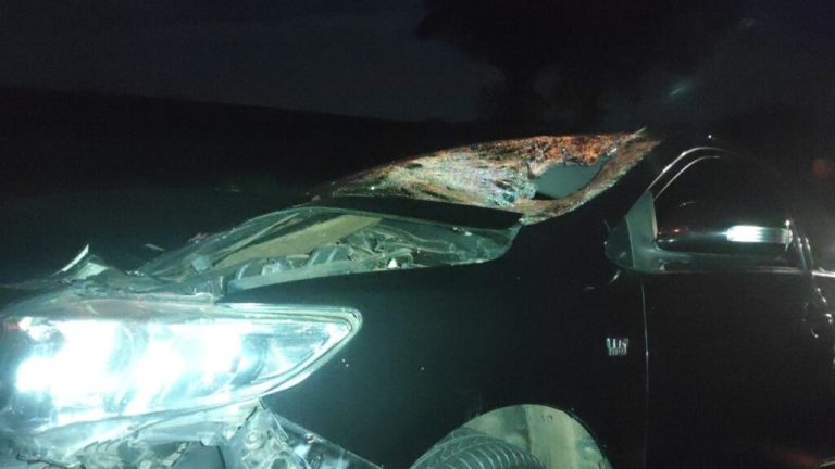 Homem de 32 anos morre atropelado na SP-294, em Parapuã