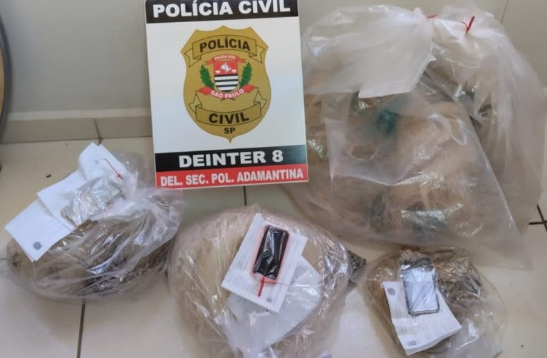Polícia Civil cumpre sete mandados de busca e apreensão em Adamantina e Lucélia contra crimes ambientes