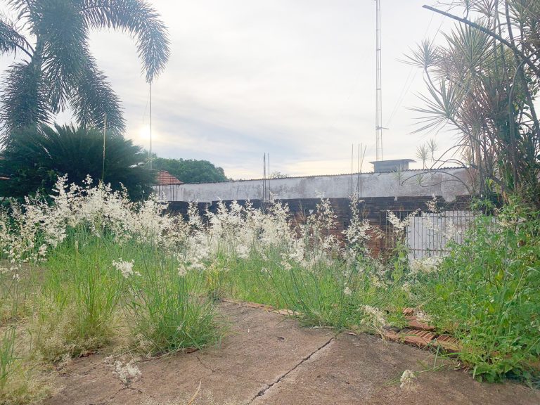 Casa abandonada expõe vizinhos a riscos