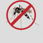 prefeitura de pracinha – dengue (1)