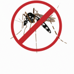 prefeitura de pracinha – dengue