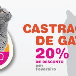 Site menor IEV- cast fev-01