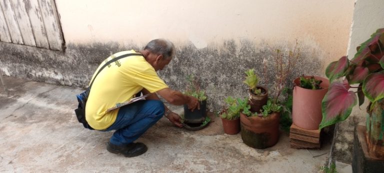 Com previsão de chuva intensa, Saúde de Adamantina reforça cuidados com a dengue
