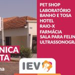 Padrão_site_menor_IEV-01