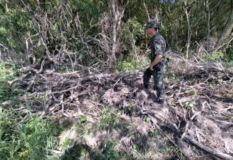 Polícia Ambiental multa fazendeira em R$ 4,4 mil por destruir vegetação nativa, em Pacaembu