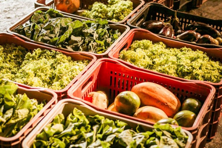 Prefeitura licita compra de produtos hortifrútis in natura, leite e derivados para entidades filantrópicas e escolas