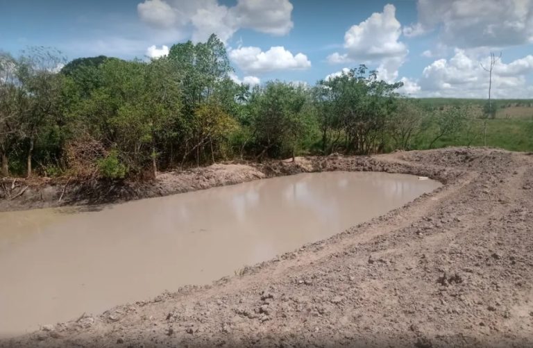 Após destruir vegetação nativa para construção de tanque, fazendeiro é multado em Adamantina