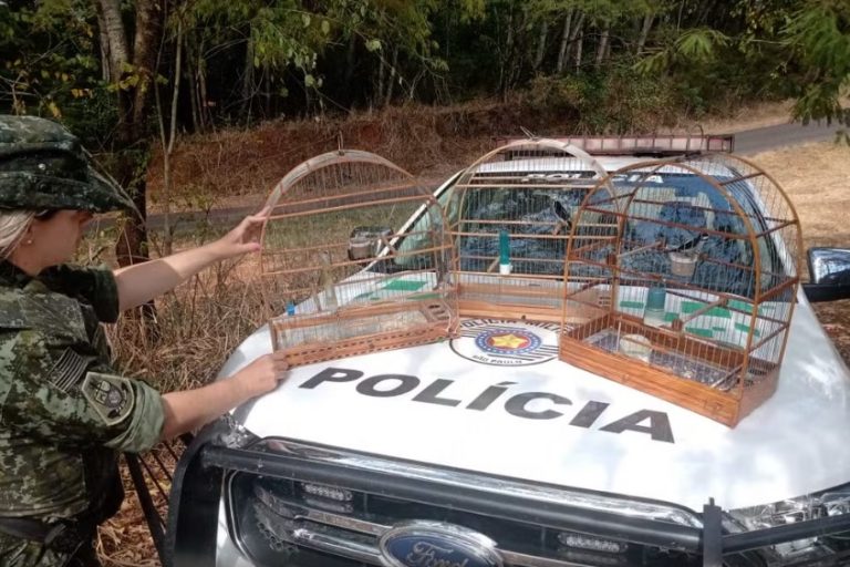 Idoso é multado por manter aves silvestres em cativeiro, em Salmourão
