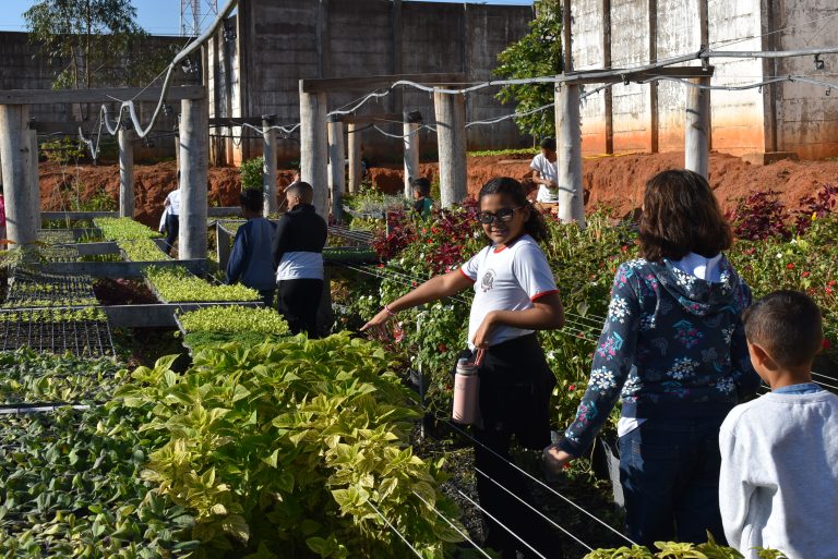 Viveiro Municipal ‘Florescer’ é inaugurado em Adamantina