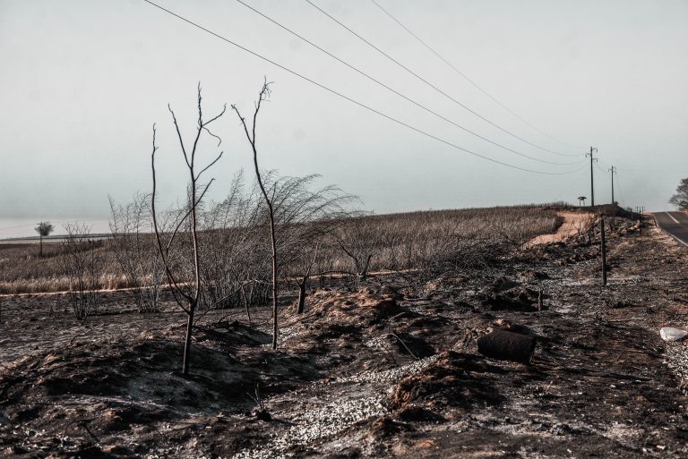Incêndio florestal em série destrói mais de 15 mil hectares de lavoura e pastagem na região