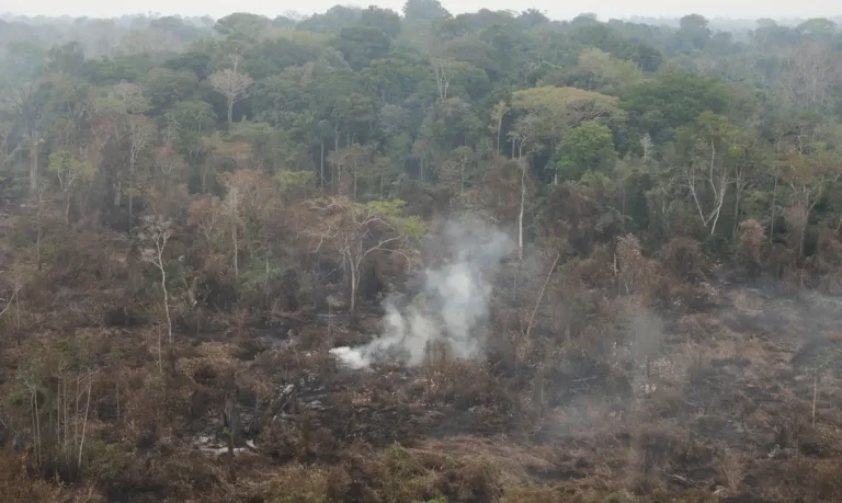 Delegado da PF diz que há indícios de ação coordenada em incêndios
