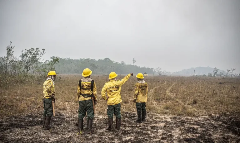 Governo federal estabelece orçamento de emergência para combate a incêndios