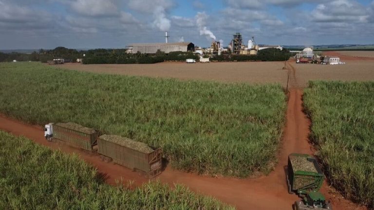 Usina da região oferece recompensa de R$ 20 mil por informações de furto