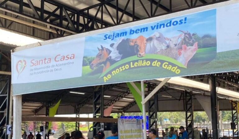 Santa Casa promove tradicional Leilão de Gado neste domingo, em Adamantina