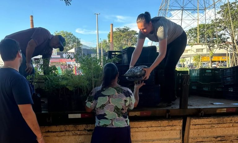 No ‘Domingo no Parque’, Prefeitura distribui 600 mudas de árvores