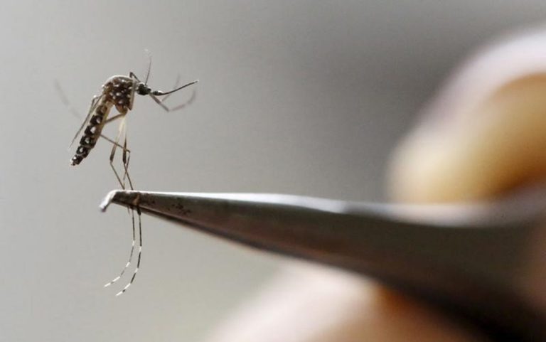 Adamantina confirma 26 casos de dengue em 2025