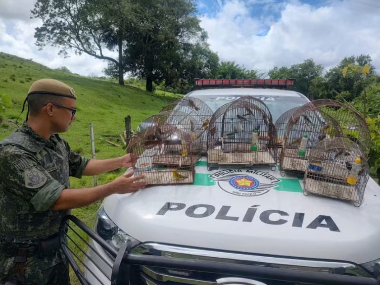 Idoso é multado em R$ 13,5 mil por manter 27 aves silvestres em cativeiro, em Pacaembu