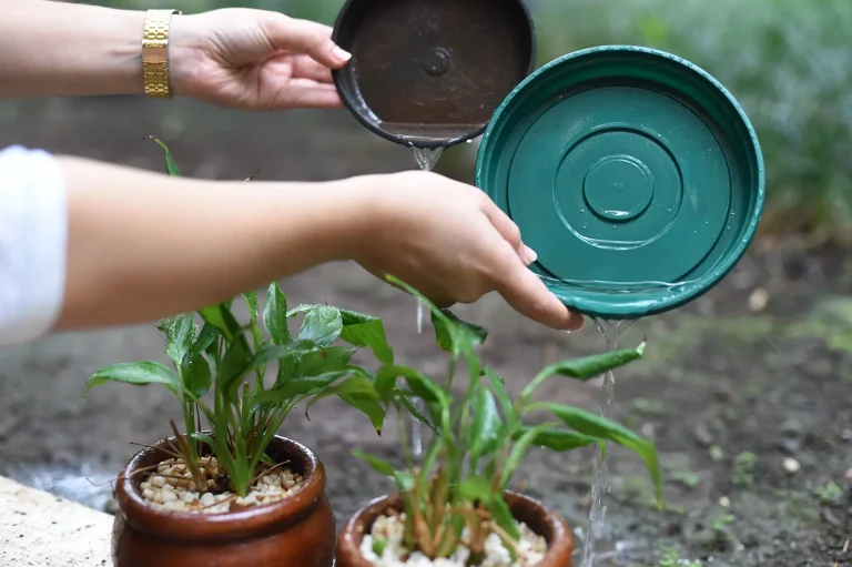 Mutirão contra o Aedes avança e atenderá novos bairros a partir de segunda, em Adamantina