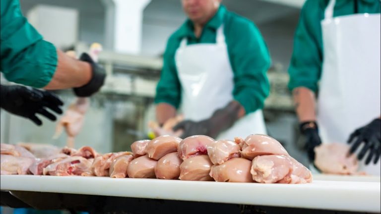 Fundo Social de Adamantina abre inscrições para processamento caseiro de carnes de aves
