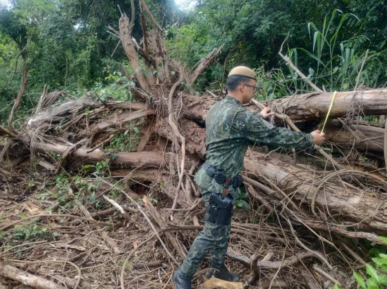 Fazendeiro é multado em R$ 4,6 mil por desmatamento em área de preservação em Osvaldo Cruz