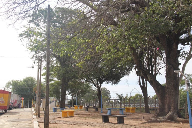 Adamantina sedia audiência pública sobre arborização e desenvolvimento urbano