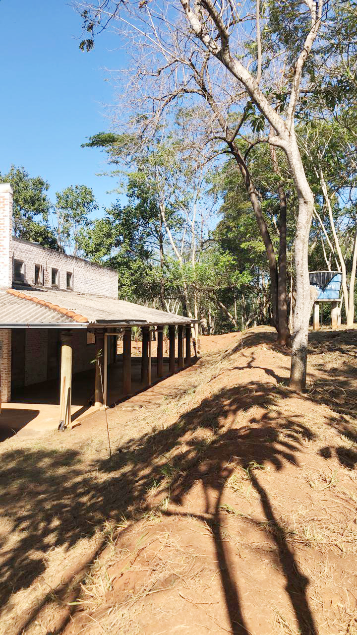Horto Florestal será reaberto para promover lazer e educação ambiental