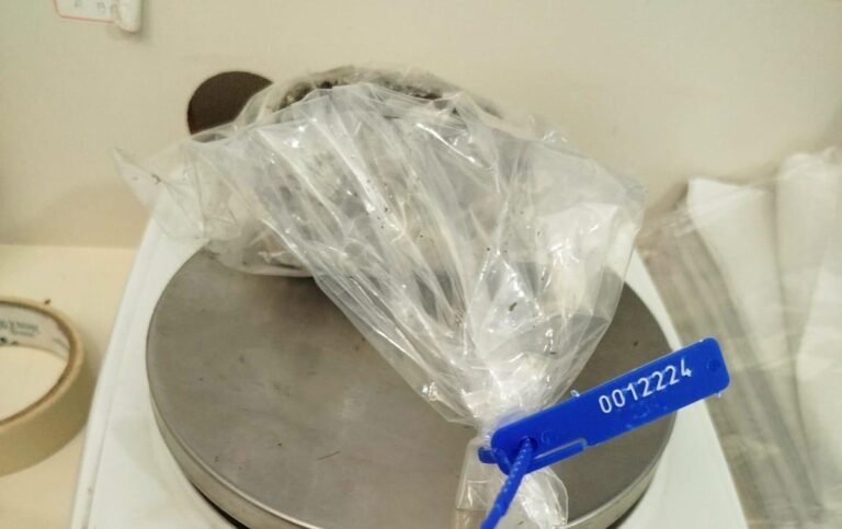 Mulher de detento tenta entrar com droga na Penitenciária de Irapuru
