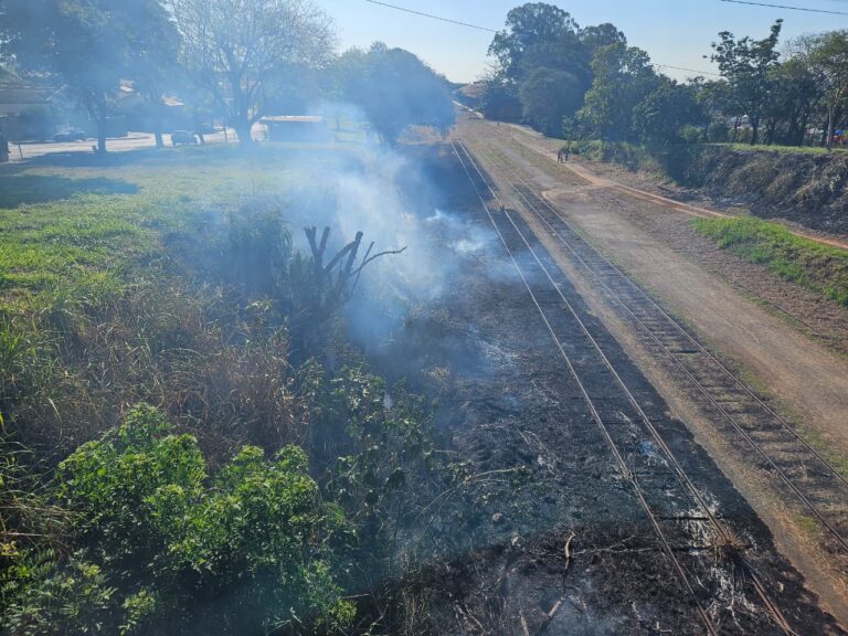 Atendimentos de incêndio em vegetação caem quase 42% na região, mas alerta continua