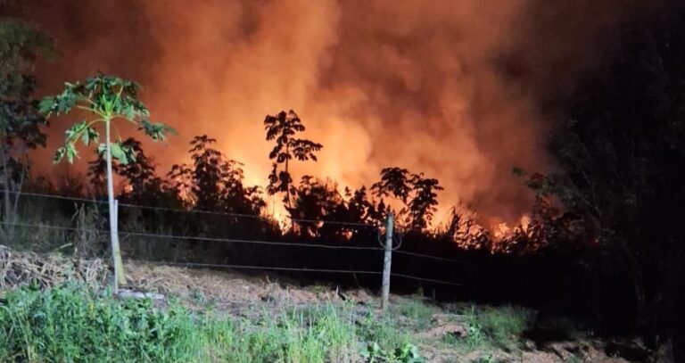 Ação rápida contém incêndio em área entre zona urbana e rural de Parapuã