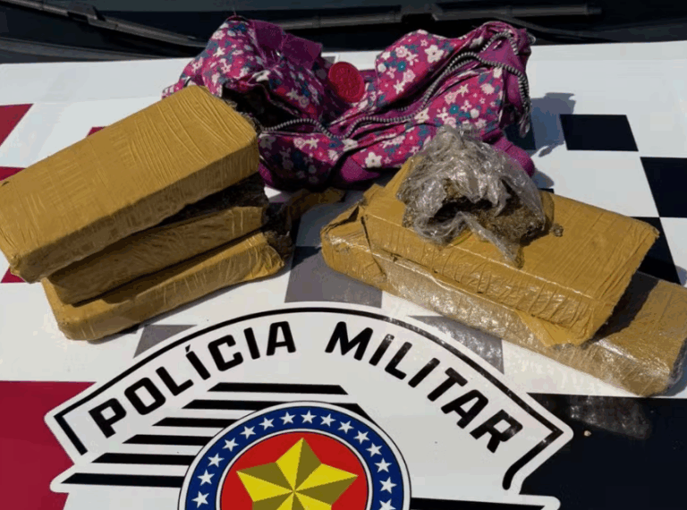 Mulheres são presas por tráfico de drogas após perseguição na SP-294, em Dracena