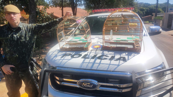 Idoso é multado em R$ 1 mil por manter em cativeiro aves silvestres, em Adamantina