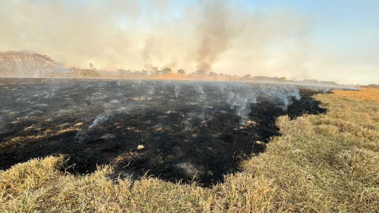 Secretaria de Meio Ambiente de Lucélia detalha ações após um ano de incêndios