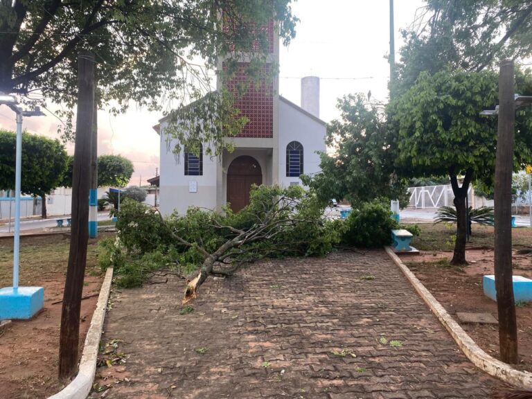 Temporal causa estragos em Sagres e afeta casas, espaços públicos e estrada vicinal