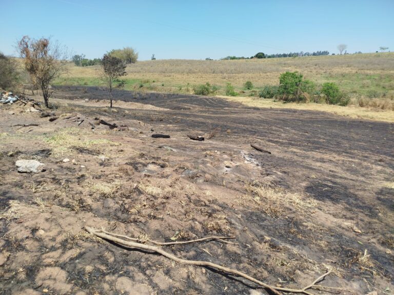 Gerente de fazenda é multado por queimada em área de preservação em Adamantina