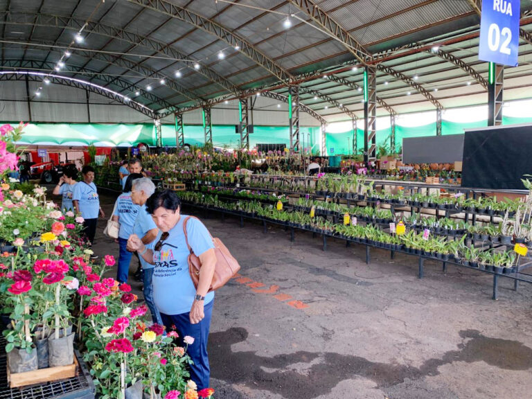 ExpoVerde 2025 segue até domingo com entrada gratuita e shows nacionais