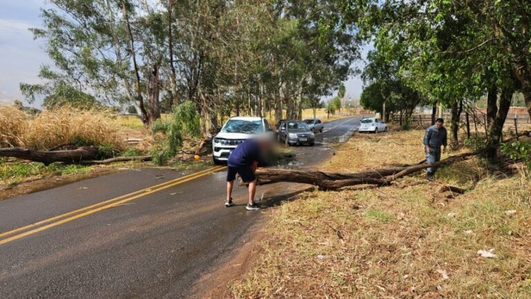 Temporal com ventos fortes causa estragos e deixa três mulheres feridas em Dracena