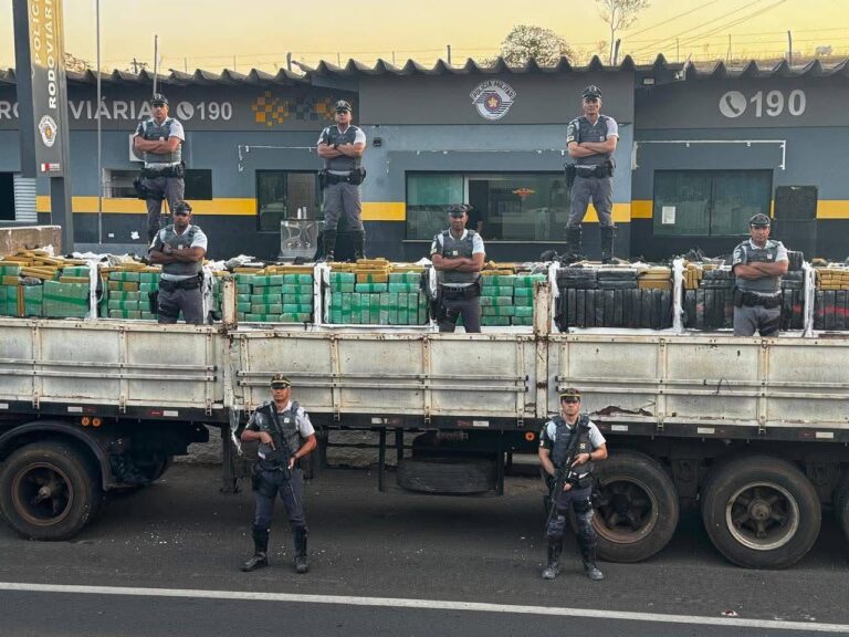Polícia apreende quase 8 toneladas de maconha escondidas em carga de gesso, em Adamantina