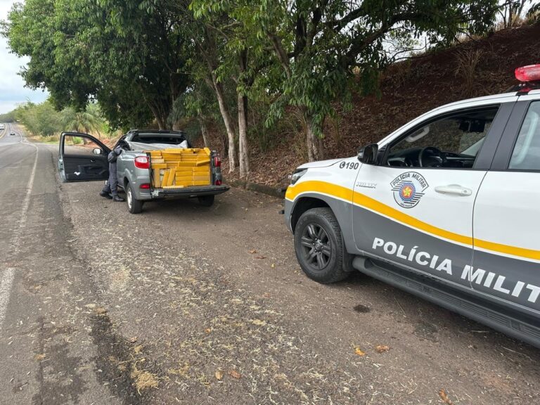 Polícia Rodoviária e FICCO-SP apreendem mais de 700 kg de maconha, em Rinópolis