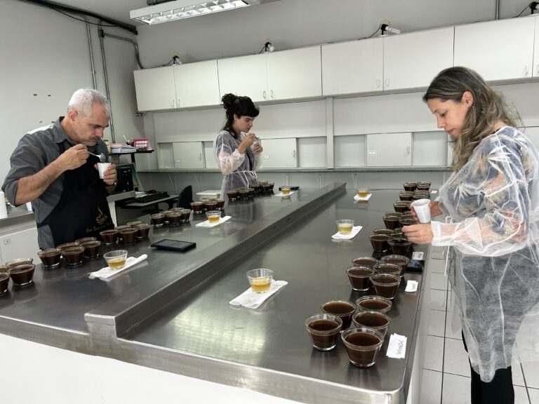 Produtores da região de Adamantina ainda podem se inscrever no Concurso Qualidade do Café de São Paulo na categoria canephora