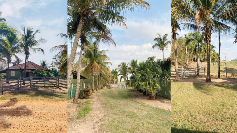 Grazi no Campo será inaugurado em Adamantina com música ao vivo e porco no rolete