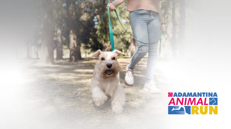 Adamantina Animal Run mobiliza mais de 400 participantes em ação solidária pelos animais de rua