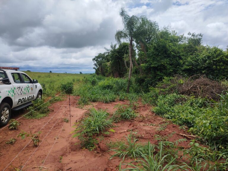 Homem é multado em mais de R$ 5 mil por supressão de vegetação em Salmourão