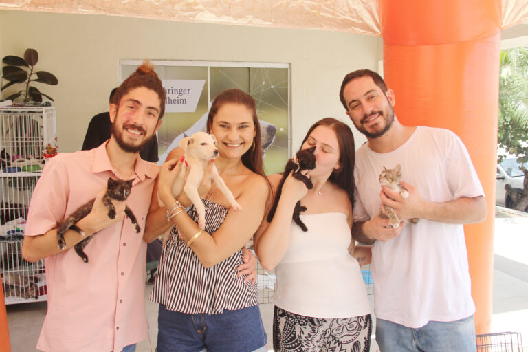 Feira de Adoção oferece cães e gatos neste sábado em Adamantina